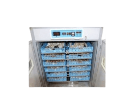 1056-Egg Capacity Incubator